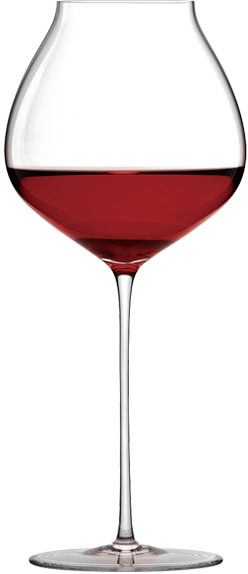 WINEX/HTT ブルゴーニュPlus